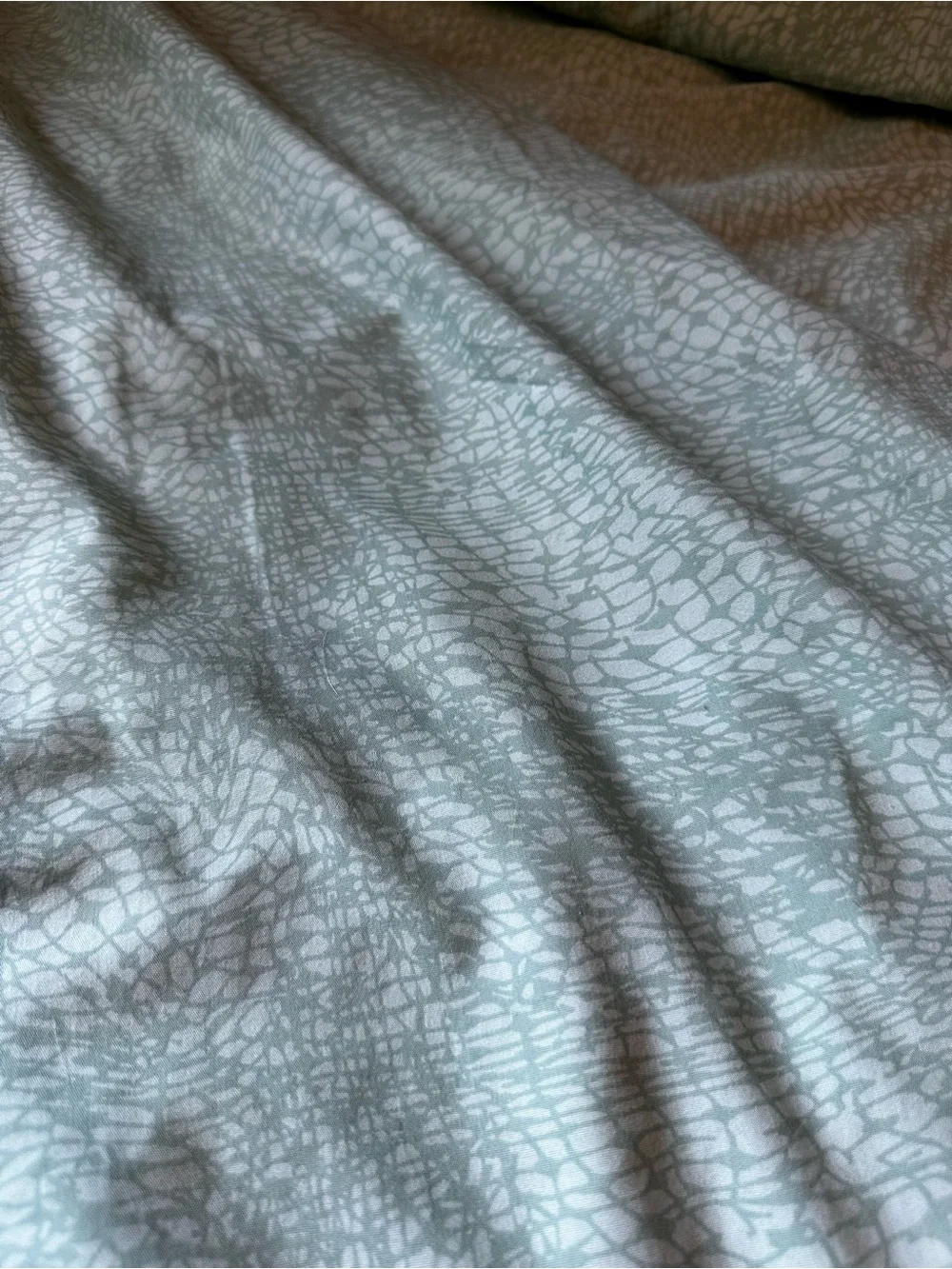 5 Items Steve Madden Sage Green Textured Full / Queen size Sheet Set Pillow